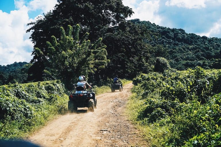 Which ATV Is Most Reliable? Brand Comparison AtvHelper