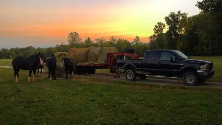 How To Check The Transmission Fluid On A Ford F150: Step By Step Guide